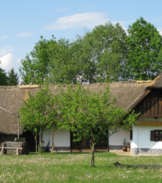 Untitled design (11)