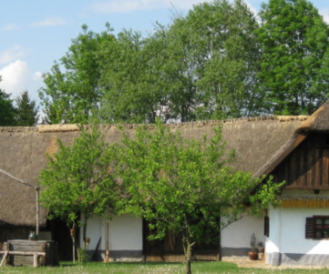 Untitled design (11)